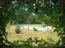 Pool view from terrace